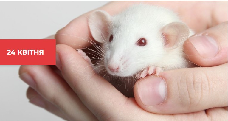  Всесвітній день захисту лабораторних тварин
